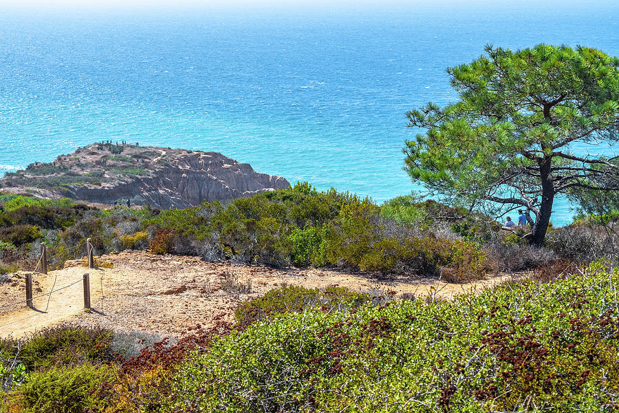 San Diego Coast by Debbie Ann Powell San Diego Coast by Debbie Ann Powell