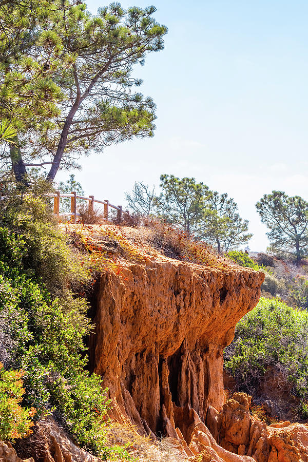 San Diego Landscape by Debbie Ann Powell San Diego Landscape by Debbie Ann Powell
