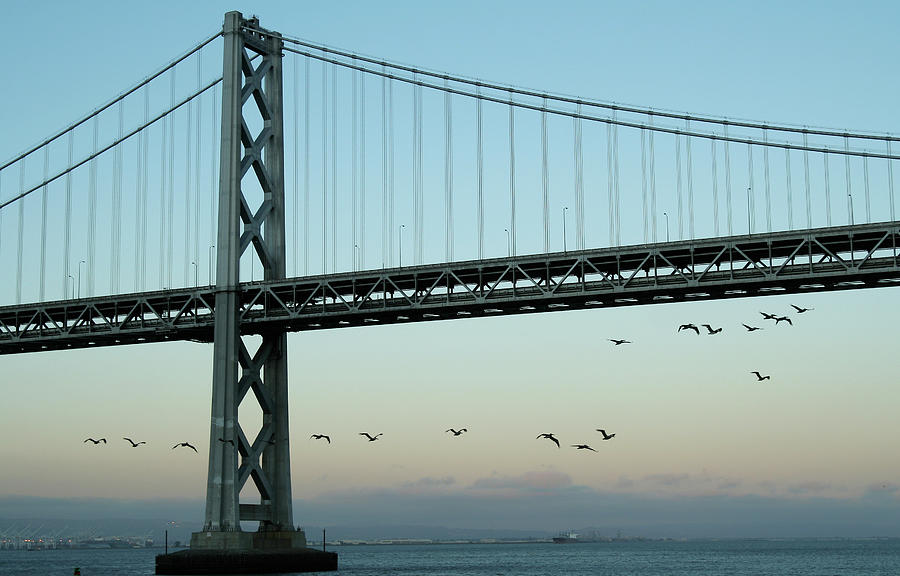 San Francisco Bay Bridge Photograph by Ra-photos