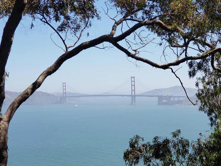 San Francisco Bay Photograph by Michelle Stevens