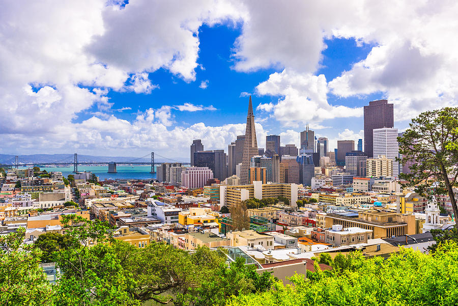 San Francisco Photograph - San Francisco, California, Usa City by Sean Pavone
