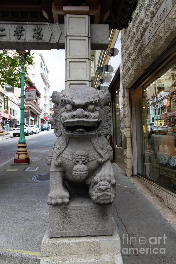 San Francisco Chinatown Dragon Gate Guardian Lion R405 Photograph by Wingsdomain Art and Photography