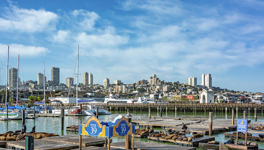 San Francisco City View From Pier 39 Photograph by Marcy Wielfaert