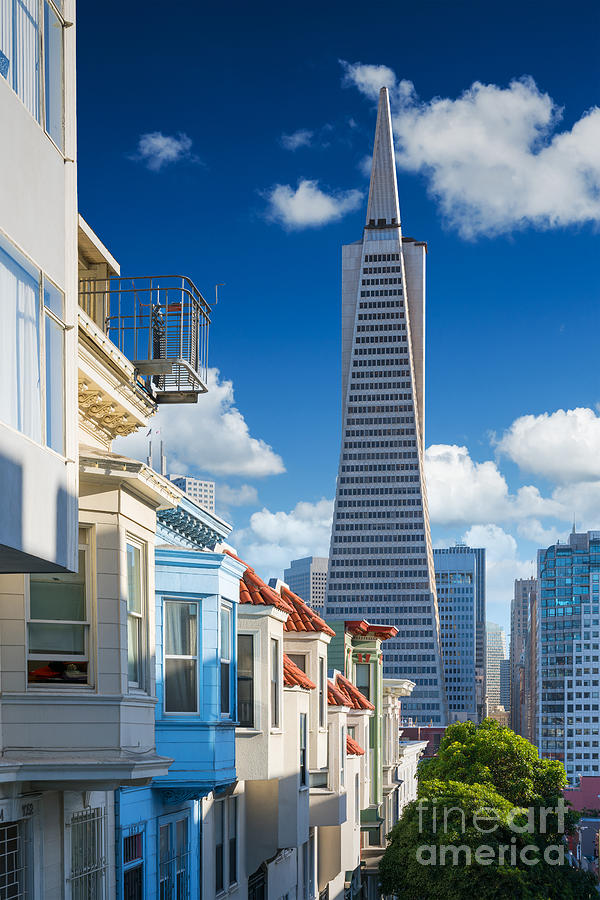 Francisco Photograph - San Francisco Downtown Famous Typical by Im photo Francisco Photograph - San Francisco Downtown Famous Typical by Im photo