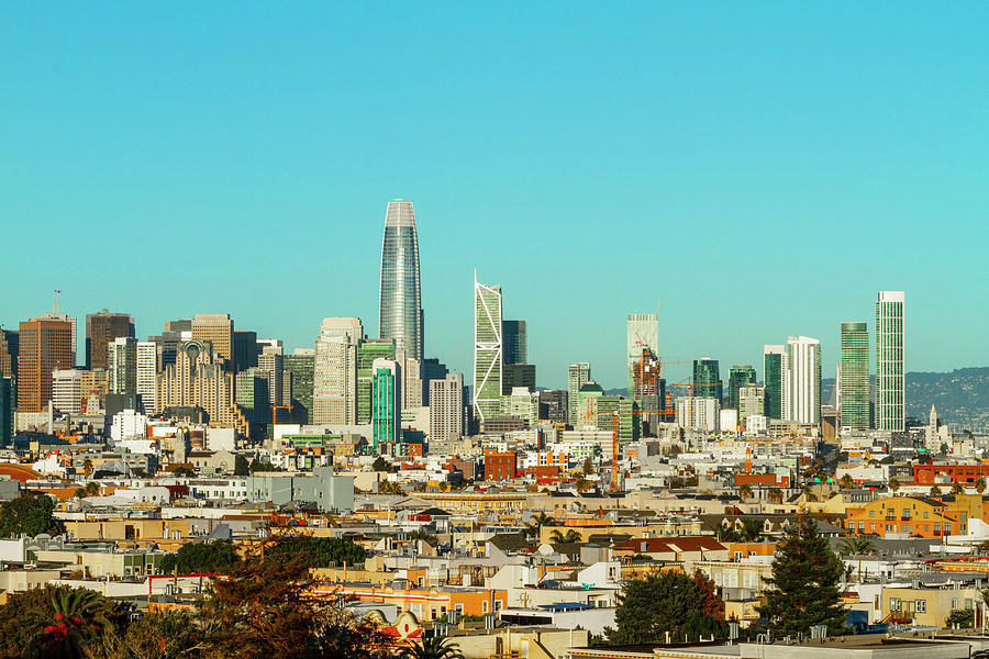 San Francisco Financial District from Dolores Park Photograph by Bonnie Follett