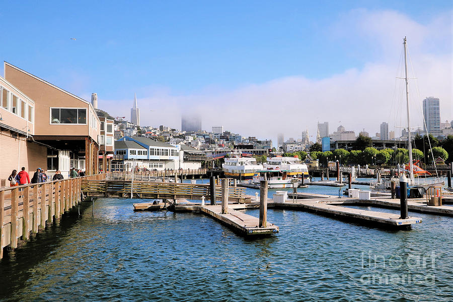 San Francisco From The Docks Photograph