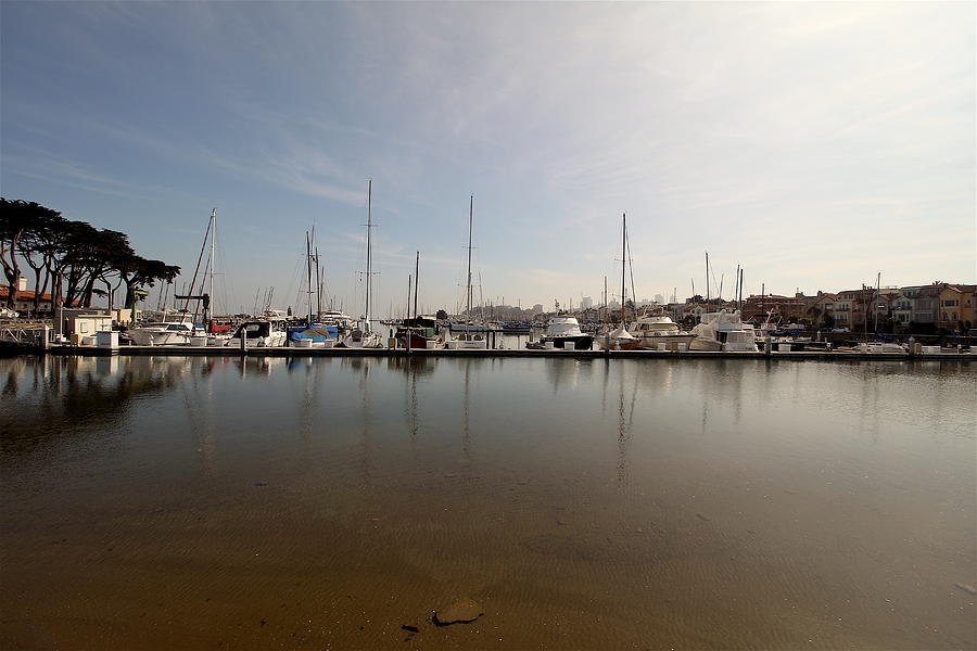 san francisco marina yacht harbor