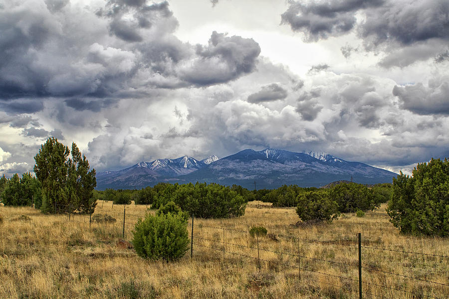 San Francisco Peaks Photograph by Tom Kelly