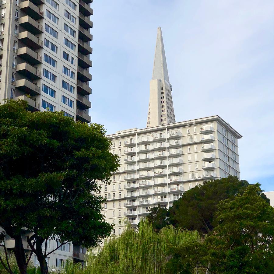 San Francisco Pyramid by Dan Twomey San Francisco Pyramid by Dan Twomey