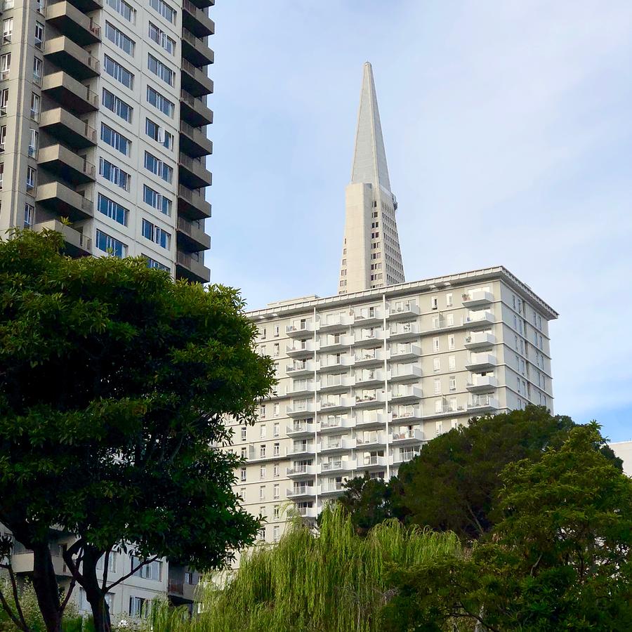 San Francisco Pyramid Photograph by Dan Twomey