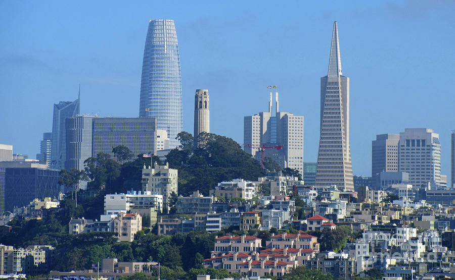 San Francisco Skyline 4 Photograph by Randall Weidner