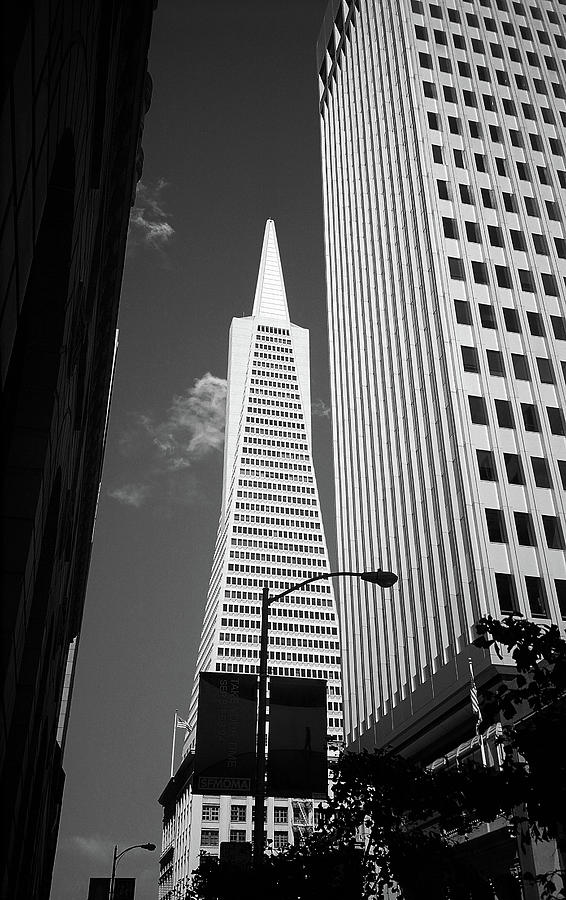 San Francisco - Transamerica Pyramid BW Photograph by Frank Romeo
