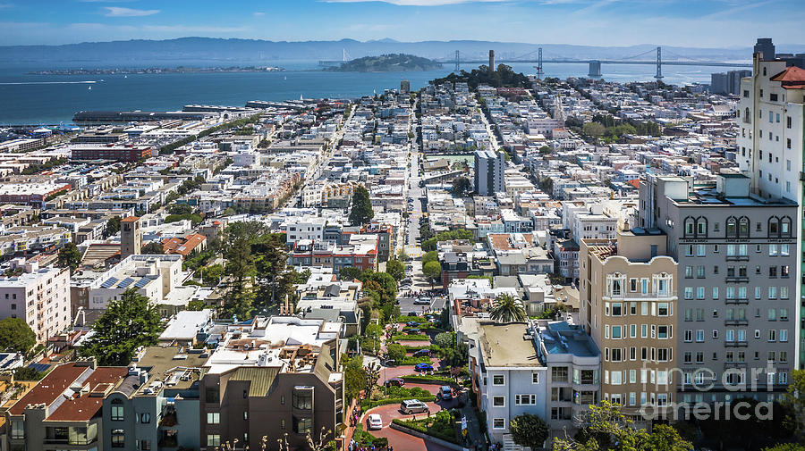 San Francisco View Photograph by Habashy Photography