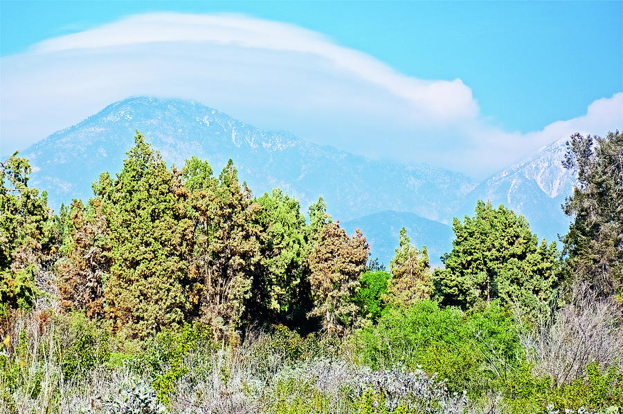 San Gabriel Mountains from Rancho Santa Ana Botanic Garden in Claremont-California  Photograph by Ruth Hager