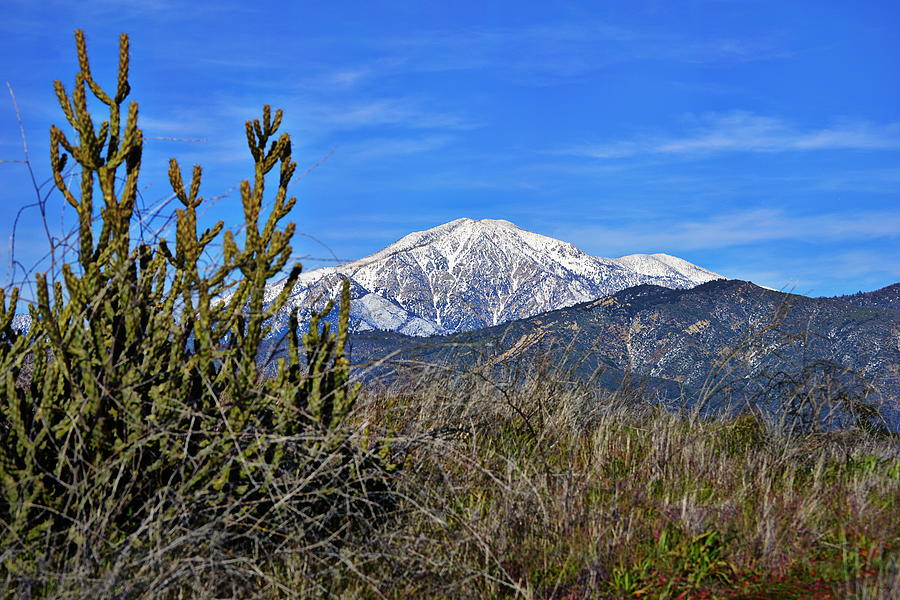 San Gorgonio Mountain Photograph