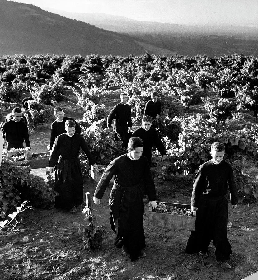 Vineyard Photograph - San Jose, California by Margaret Bourke-White