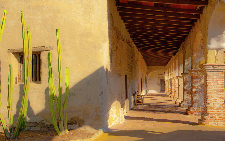 San Juan Capistrano California Mission Cactus on Wall Photograph by Catherine Walters