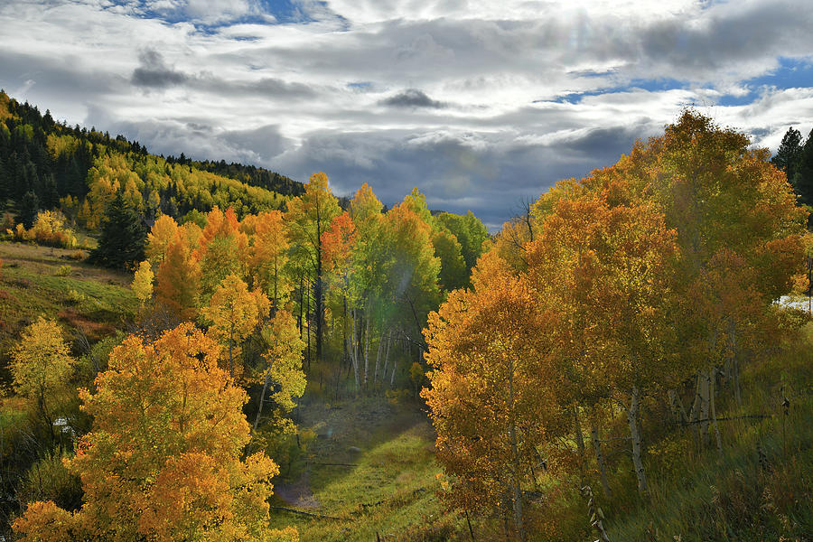 San Juan Mountains Fall Color Photograph by Ray Mathis