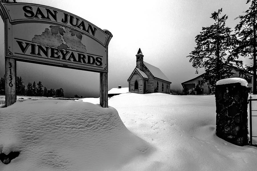 San Juan Vineyards Photograph by Thomas Ashcraft
