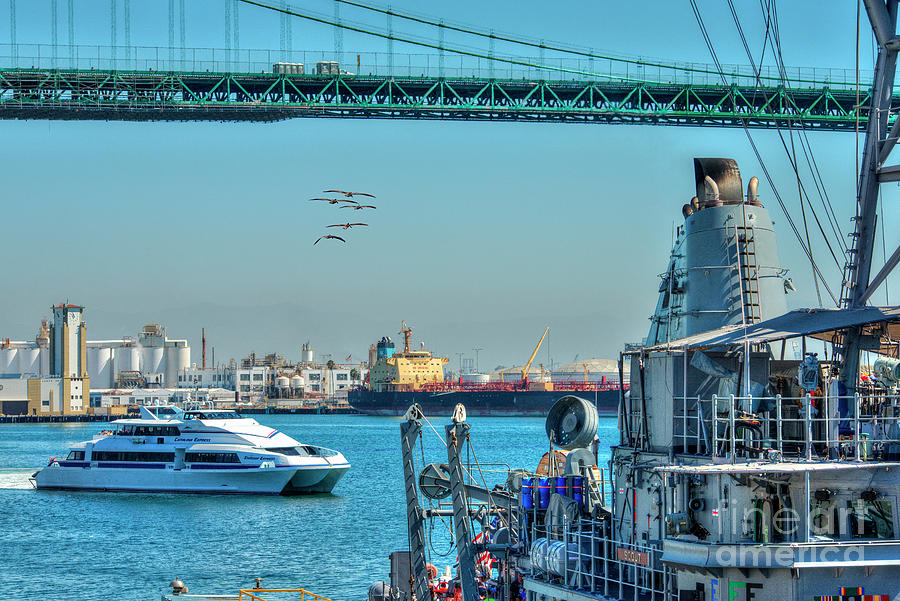 San Pedro Fleet Week Navy Photograph by David Zanzinger