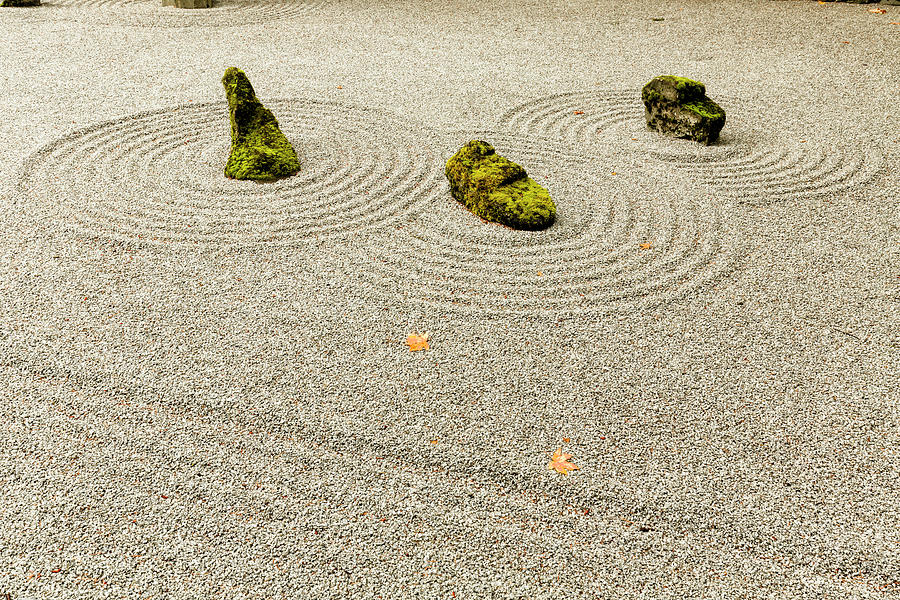 Adam Jones Photograph - Sand And Stone Garden, Portland by Adam Jones