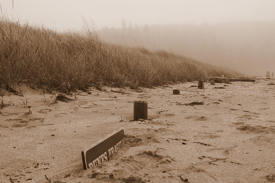 Sand Beach IV Photograph by Greg DeBeck