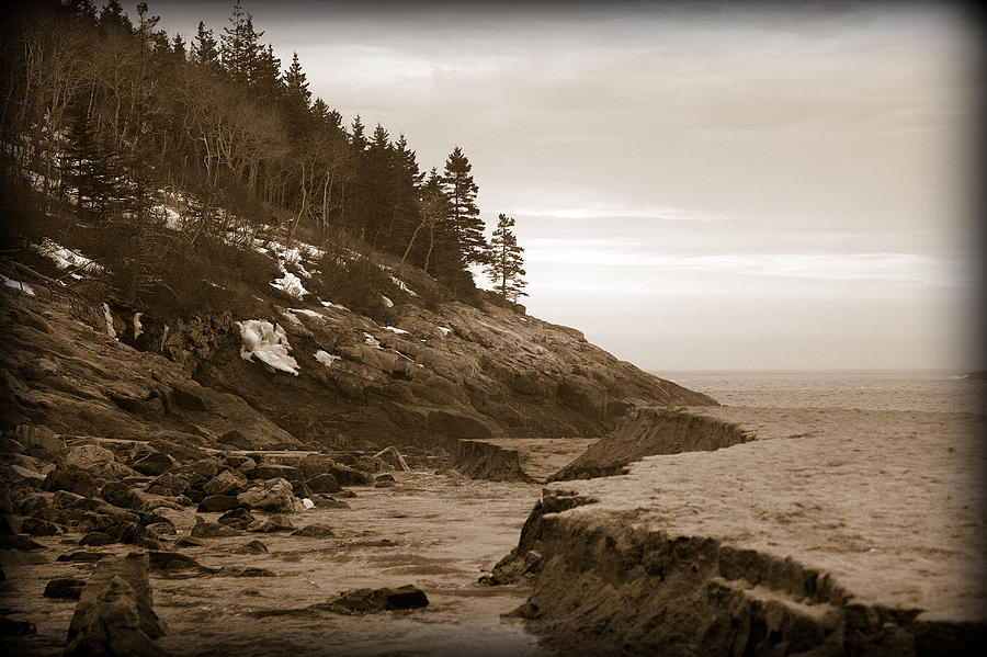 Acadia National Park Photograph - Sand Beach VI by Greg DeBeck