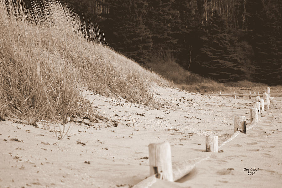Acadia National Park Photograph - Sand Beach XI by Greg DeBeck