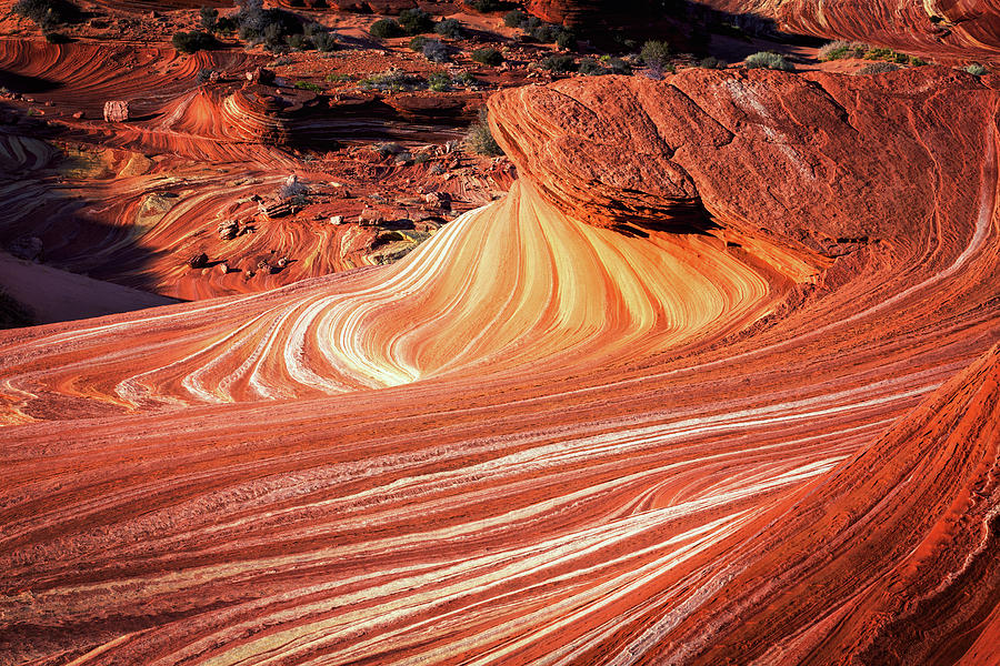 Sand Cove at the North Coyote Buttes, Arizona Photograph by Alex Mironyuk