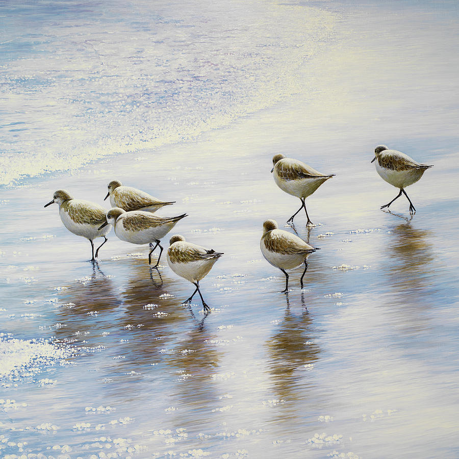 Bird Painting - Sand Dancers Square by Bruce Nawrocke