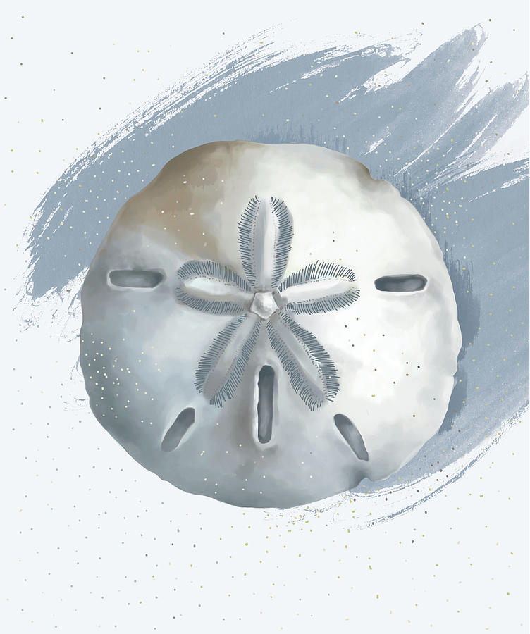 Sand Mixed Media - Sand Dollar by Lucca Sheppard