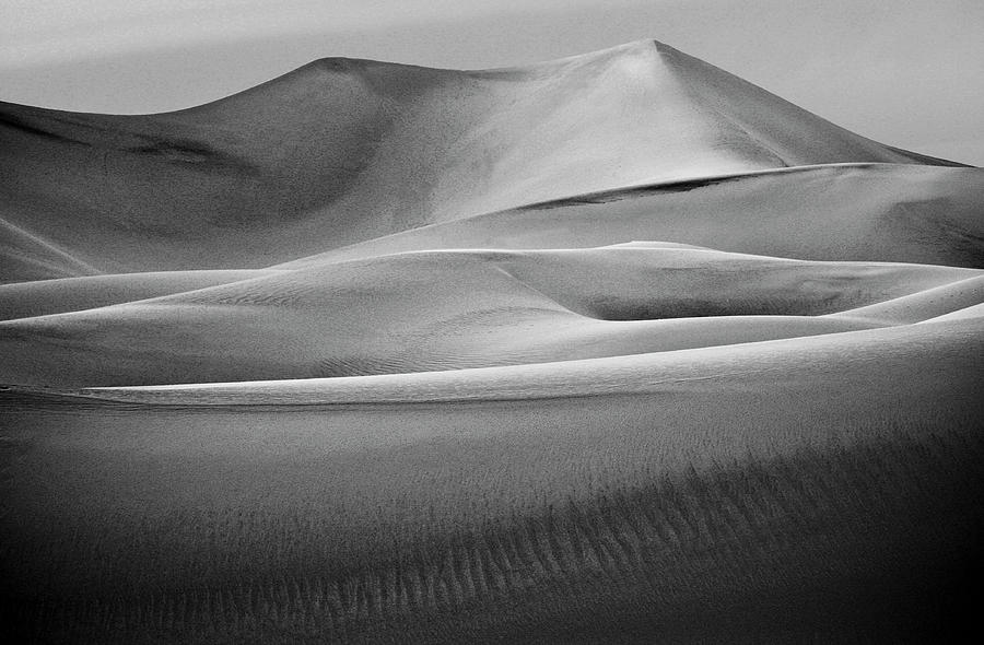 Sand Dune #5 Photograph by Neil Pankler