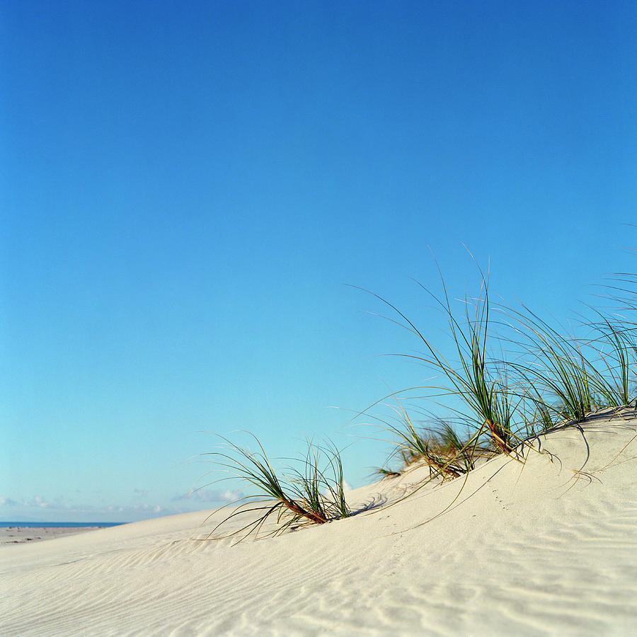Sand Dune And Marram Grass Against Blue Photograph by Jason Hosking