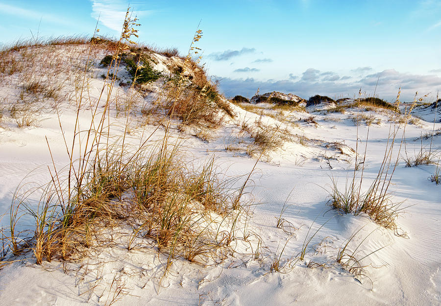 Sand Dune Photograph by Bill Chambers