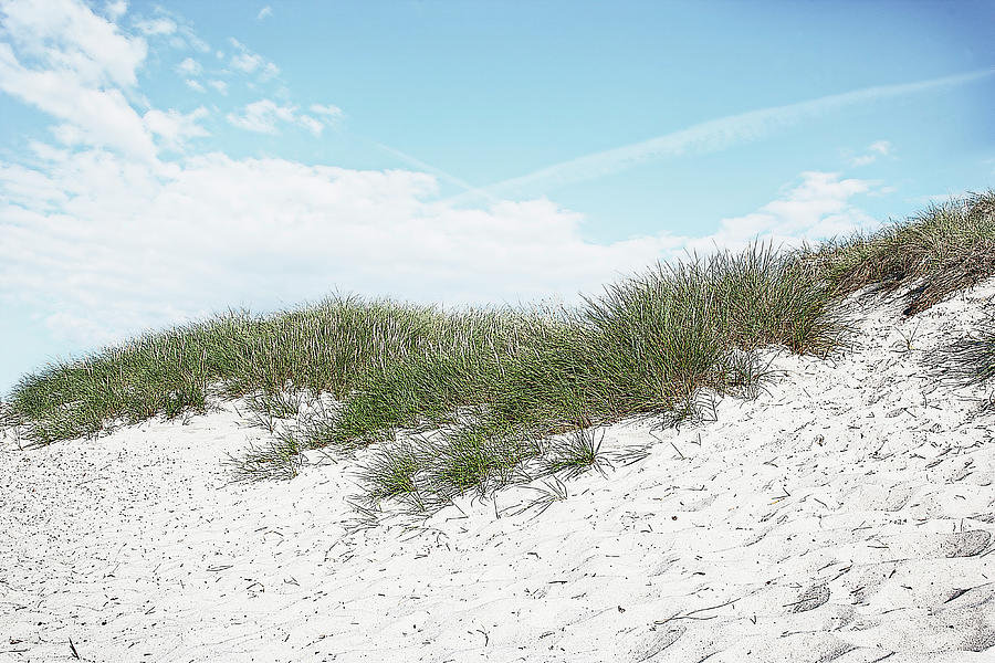 Sand Dune Photograph by Claus Christensen - Fine Art America