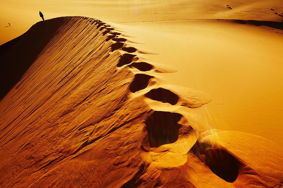 Nature Photograph - Sand Dune Climbing, Sunrise, Sahara by DPK-Photo
