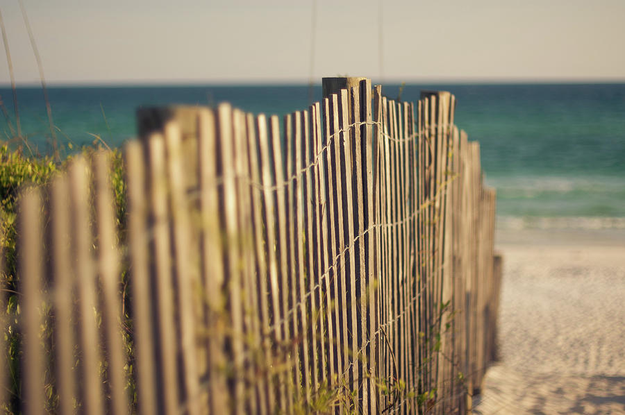 Sand Dune Fence On Beach Photograph by Sharondipity Photography