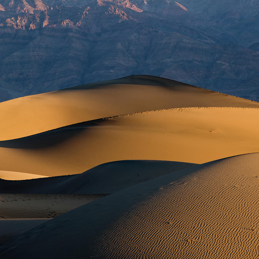 Sand Dune Formations At Sunset by Gary Yeowell