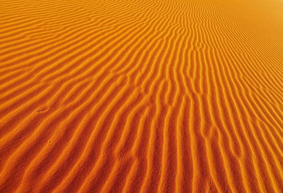 Sand Dune In Sahara Desert Photograph by DPK-Photo - Fine Art America