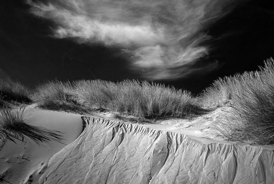Landscape Photograph - Sand Dune Infrared by Michael Ivshin Johansen