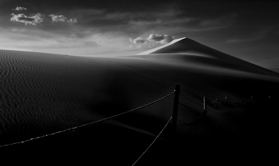 Black And White Photograph - Sand Dune by Larry Deng