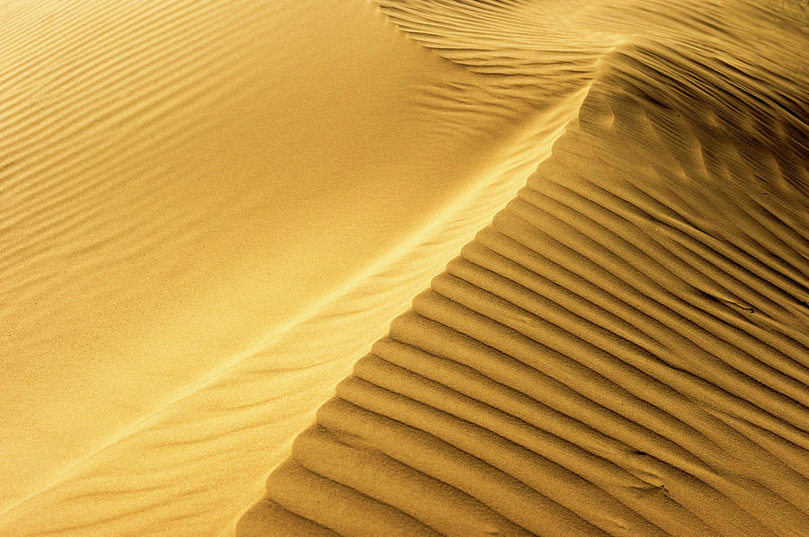 Sand Dune, Negev Desert, Israel Photograph by Photostock-israel