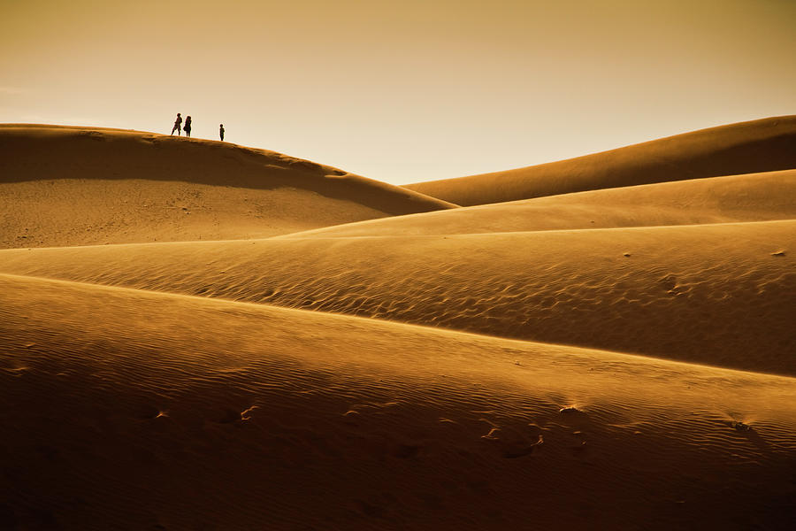 Sand Dune Photograph by Simonlong