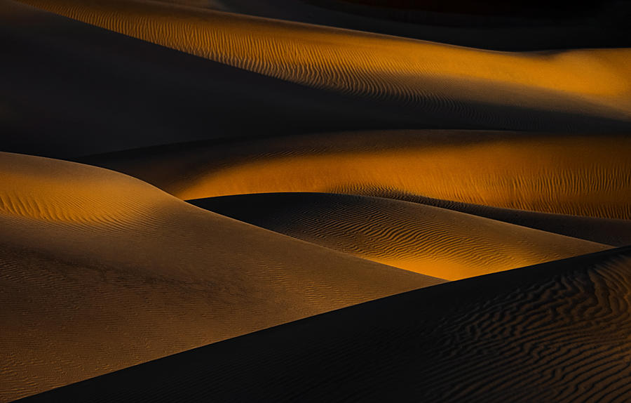 Sand Dune Waves Photograph by Lydia Jacobs