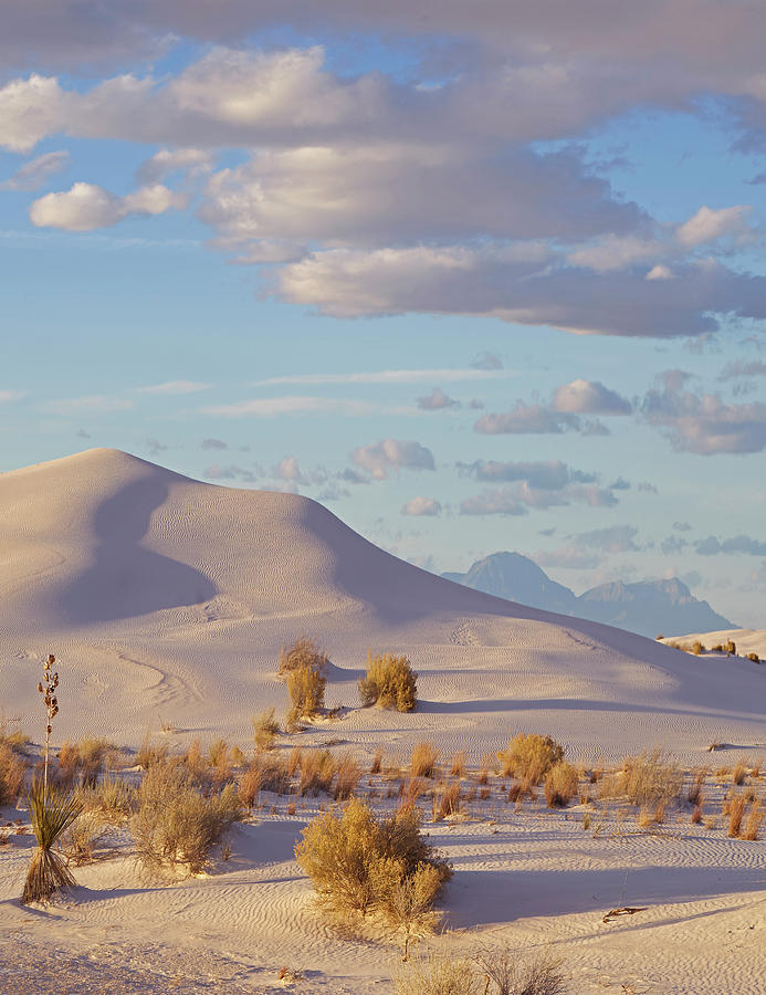 Sand Dune, White Sands Nm, New Mexico Photograph by Tim Fitzharris