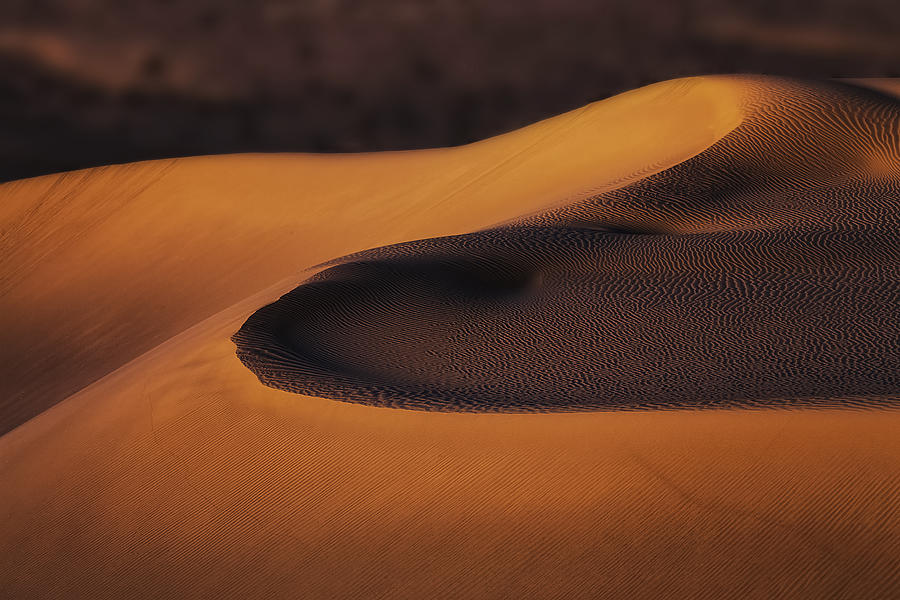 Sand Dunes (2) Photograph by Jenny Qiu