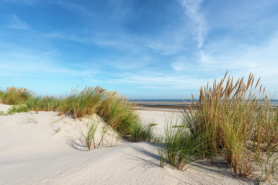 Sand Dunes And Beach Grass, Wangerooge, East Frisian Islands, Friesland District, Lower Saxony, Germany, Europe Photograph by Axel Ellerhorst