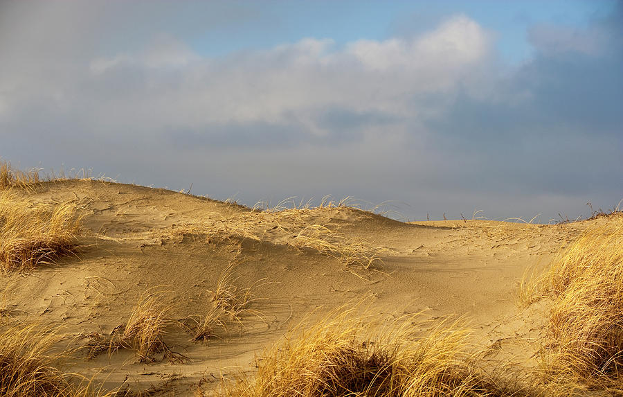 Sand Dunes And Marram Grass Photograph by Sindre Ellingsen