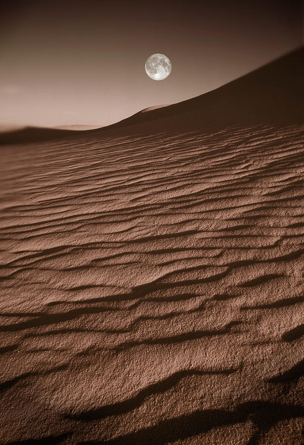 Sand Dunes And Moon Photograph by Steve Satushek