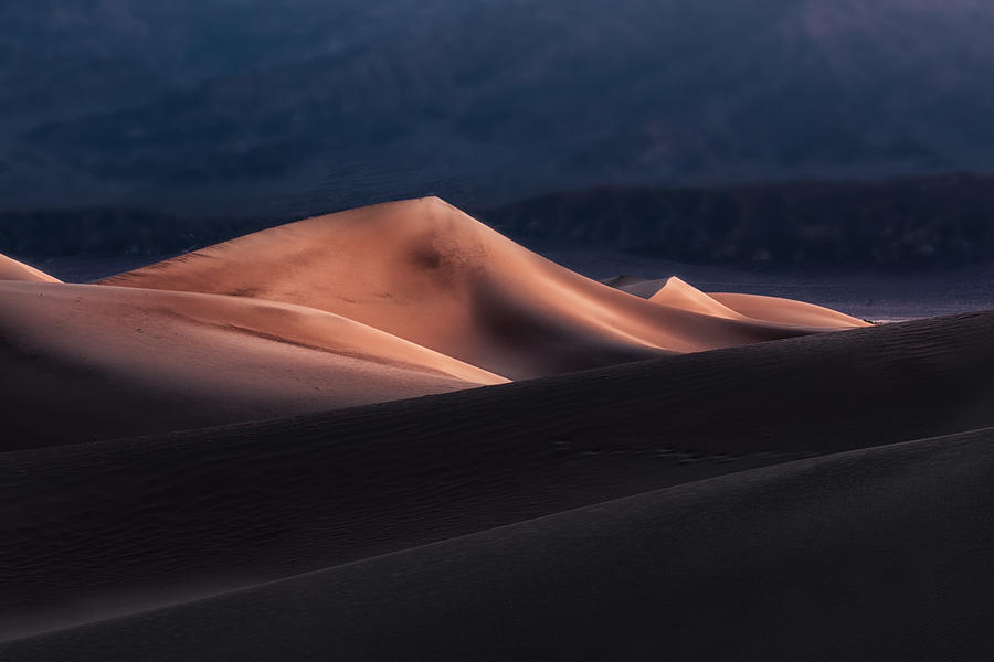 Sand Dunes At Dawn Photograph by Jenny Qiu